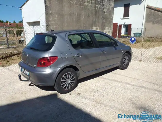 Peugeot 307 16v 1.6 110 ch