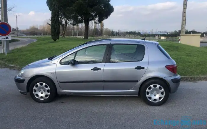 Peugeot 307 echange