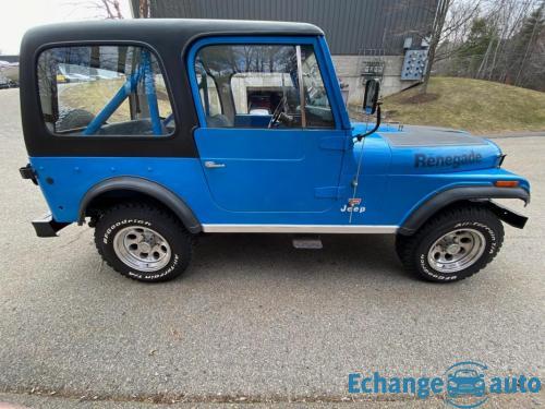 Jeep CJ Levis edition 304 v8 1978 prix tout compris