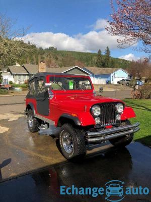 Jeep CJ 258 cu. in.i6 1979 prix tout compris