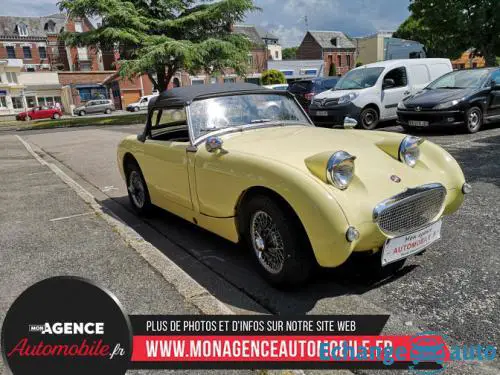 Austin Healey Sprite 1L Frogeye