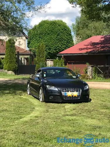 AUDI TTS