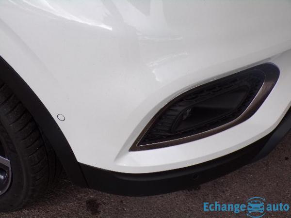 Renault Kadjar TCe 160 FAP Intens