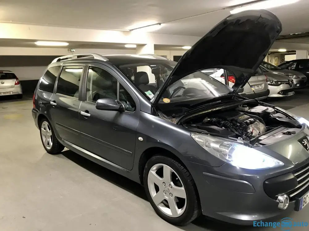Peugeot 307 SW pack sport plus