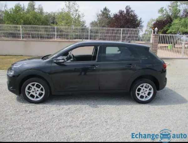 Citroën C4 Cactus PTECH 110 FEEL