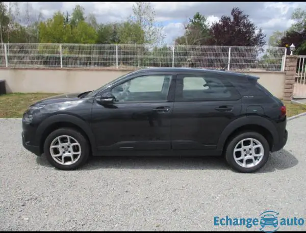 Citroën C4 Cactus PTECH 110 S