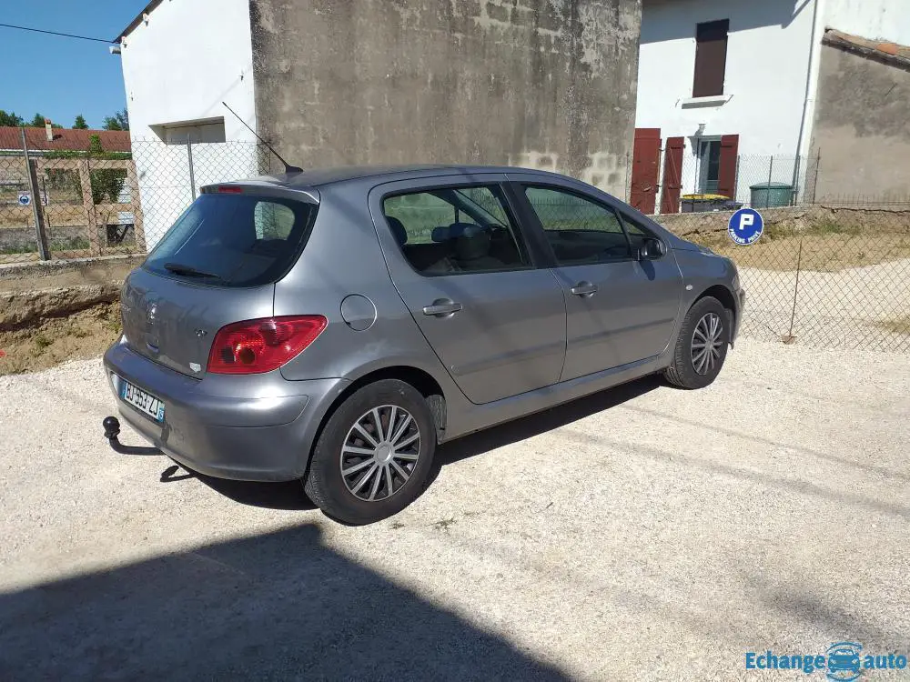 Peugeot 307 16v 1.6 110 ch