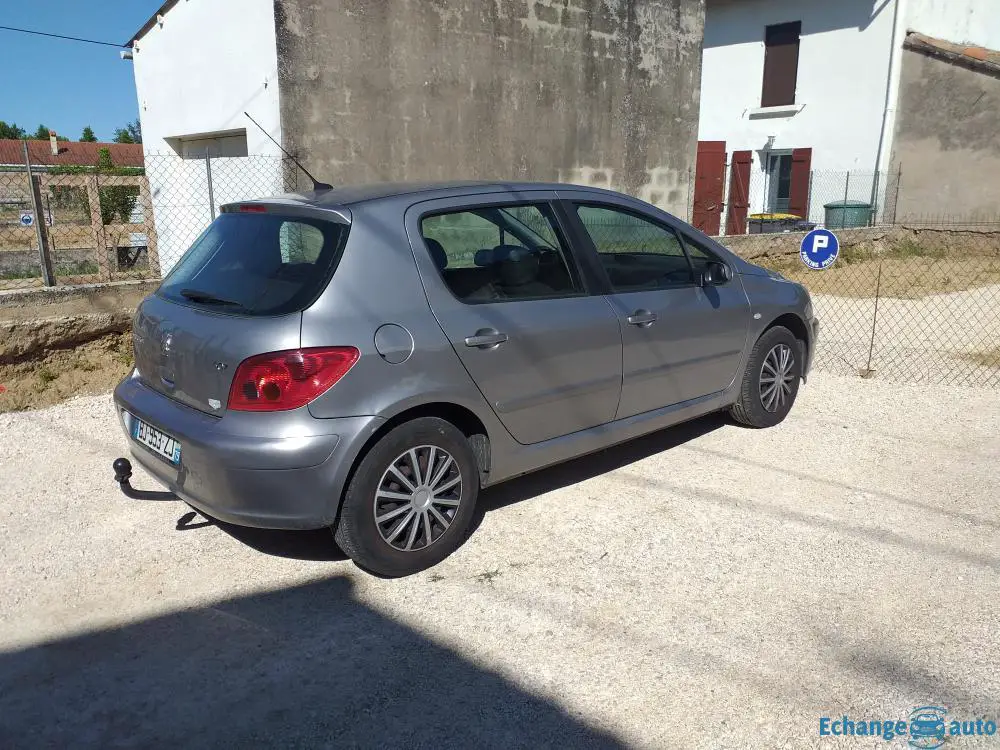 Peugeot 307 16v 1.6 110 ch