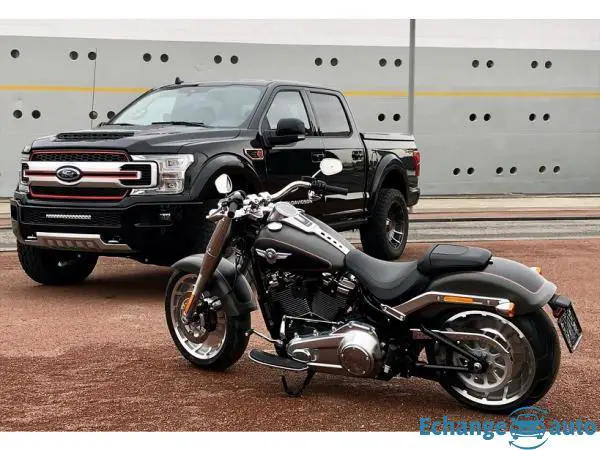 Ford F 150 Harley davidson v8 5.0l m19