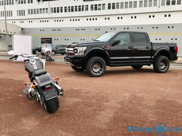 Ford F 150 Harley davidson v8 5.0l m19