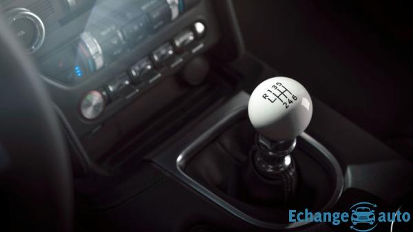 Ford Mustang FASTBACK 5.0 l v8 bullitt bvm6