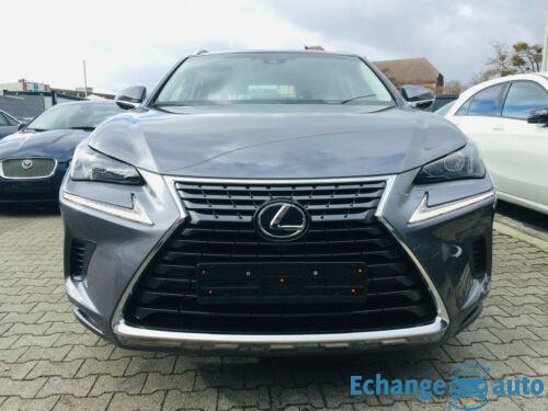 Lexus NX 300 h Hybrid AWD Business