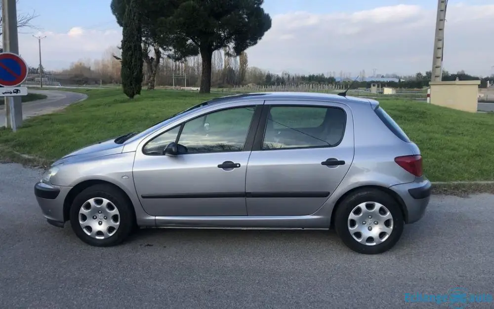 Peugeot 307 echange