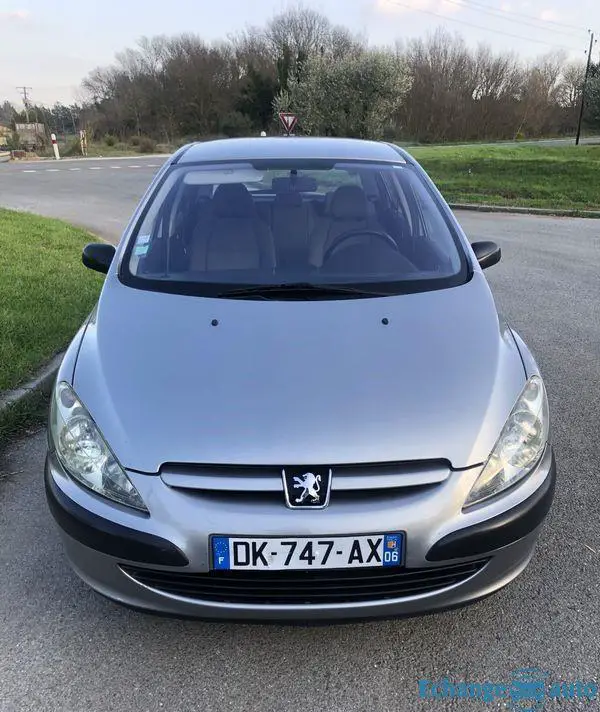 Peugeot 307 echange