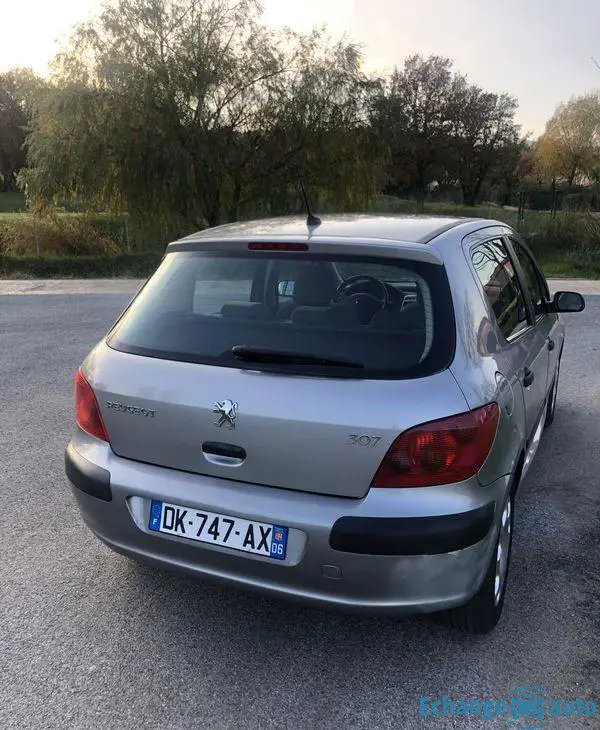 Peugeot 307 echange