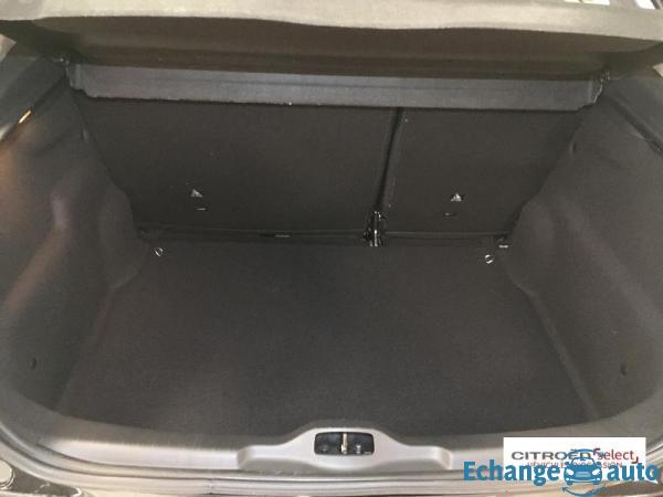 Citroën C4 Cactus PureTech 110ch S&S Feel Business EAT6 E6.d-TEMP