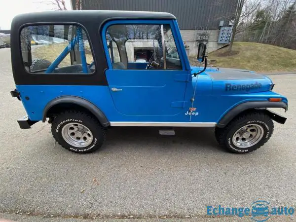 Jeep CJ Levis edition 304 v8 1978 prix tout compris