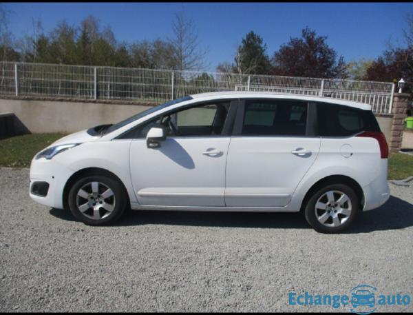 Peugeot 5008 EHDI 115 FAP BUSINESS ETG6