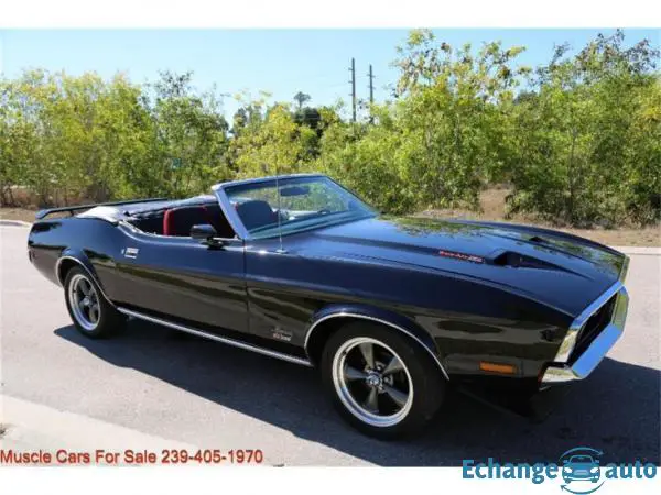 Ford Mustang V8 351 1971 prix tout compris