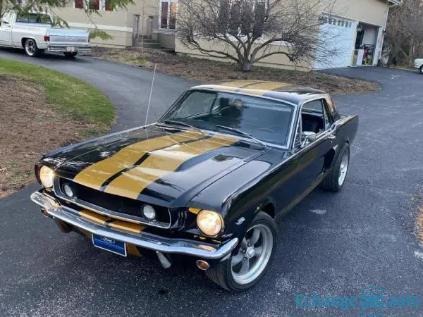 Ford Mustang Hertz gt 350h 1965 prix tout compris