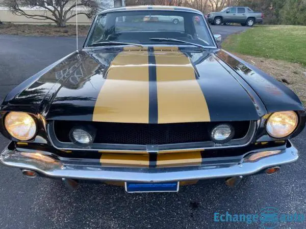 Ford Mustang Hertz gt 350h 1965 prix tout compris