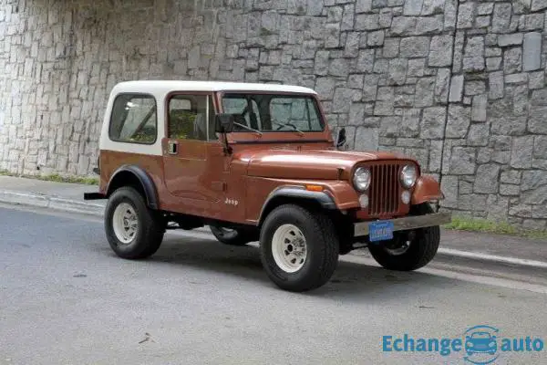 Jeep CJ 4.2l 258 1981 prix tout compris