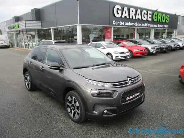 Citroën C4 Cactus PureTech 110 S&S BVM6 Shine