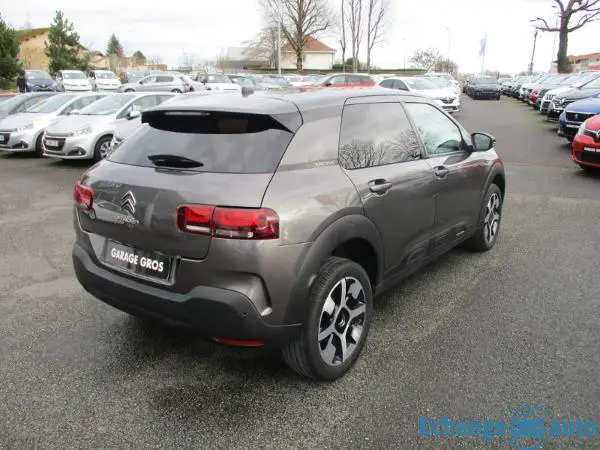 Citroën C4 Cactus PureTech 110 S&S BVM6 Shine