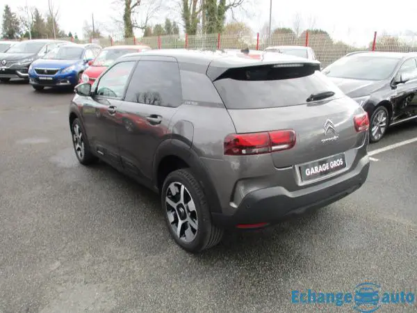 Citroën C4 Cactus PureTech 110 S&S BVM6 Shine