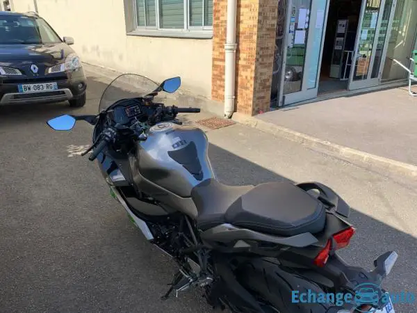 Kawasaki NINJA H2SX H2 SX SE S.E. + PLUS 1000