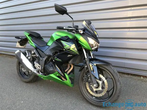 Kawasaki Z300 Z 300
