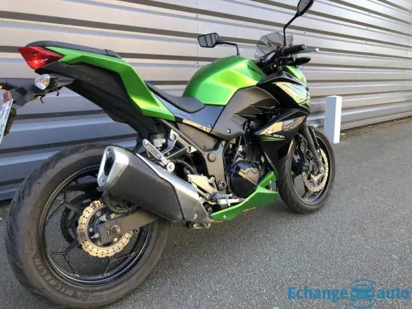 Kawasaki Z300 Z 300