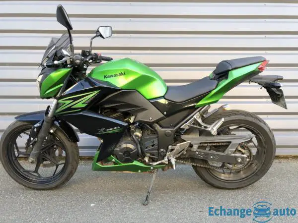 Kawasaki Z300 Z 300