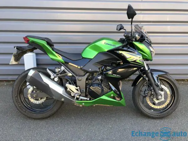 Kawasaki Z300 Z 300