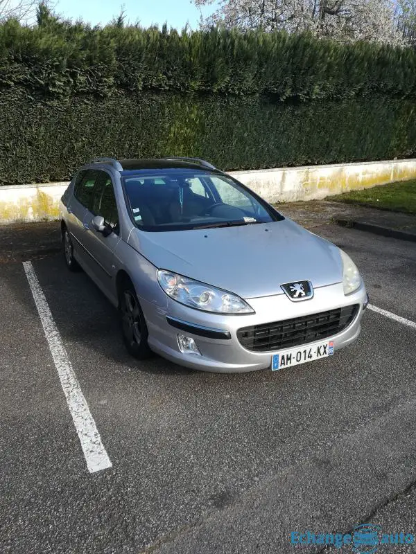 Break Peugeot 407 sw
