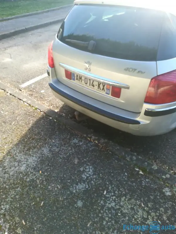 Break Peugeot 407 sw