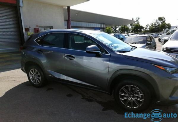 Lexus NX 300h 2.5i 155 Hybride 2WD BVA Pack Business (Tout-Terrain)