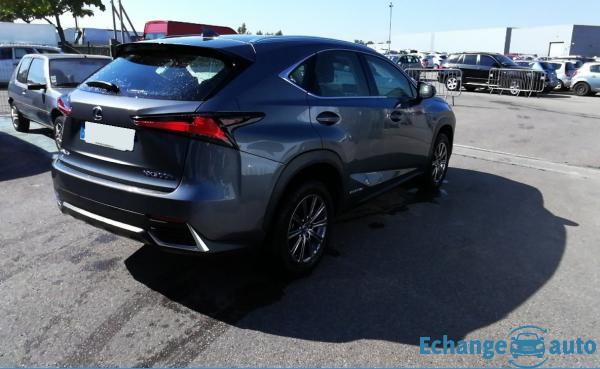 Lexus NX 300h 2.5i 155 Hybride 2WD BVA Pack Business (Tout-Terrain)