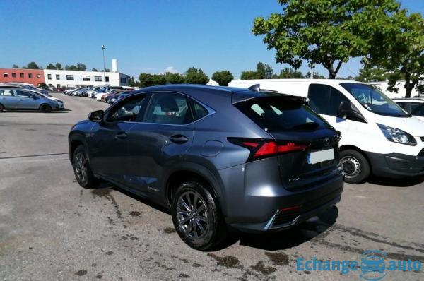 Lexus NX 300h 2.5i 155 Hybride 2WD BVA Pack Business (Tout-Terrain)