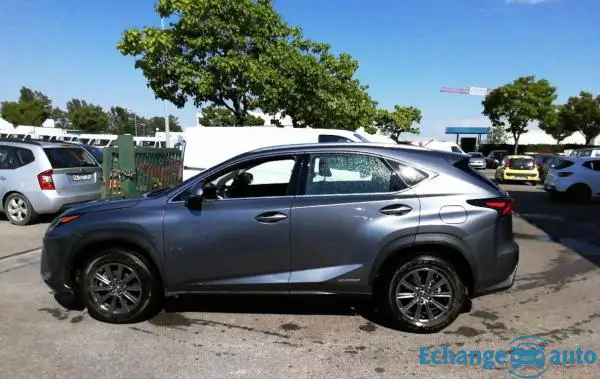 Lexus NX 300h 2.5i 155 Hybride 2WD BVA Pack Business (Tout-Terrain)