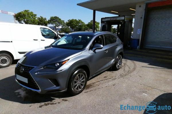 Lexus NX 300h 2.5i 155 Hybride 2WD BVA Pack Business (Tout-Terrain)