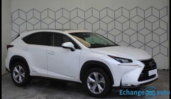 Lexus NX 300h 4WD E-CVT Executive