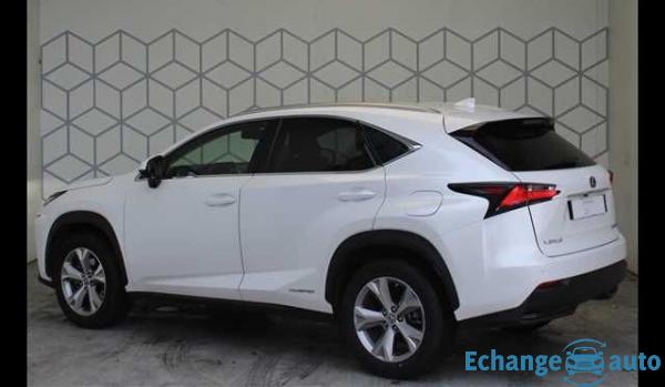 Lexus NX 300h 4WD E-CVT Executive