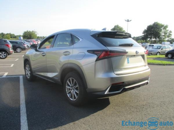 Lexus NX 300h 2WD BUSINESS