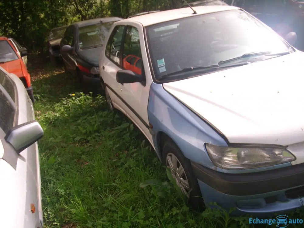 PEUGEOT 306 ESSENCE 250€