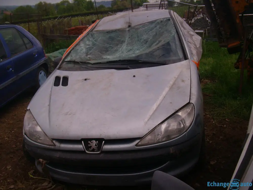 206 POUR PIECES 150€