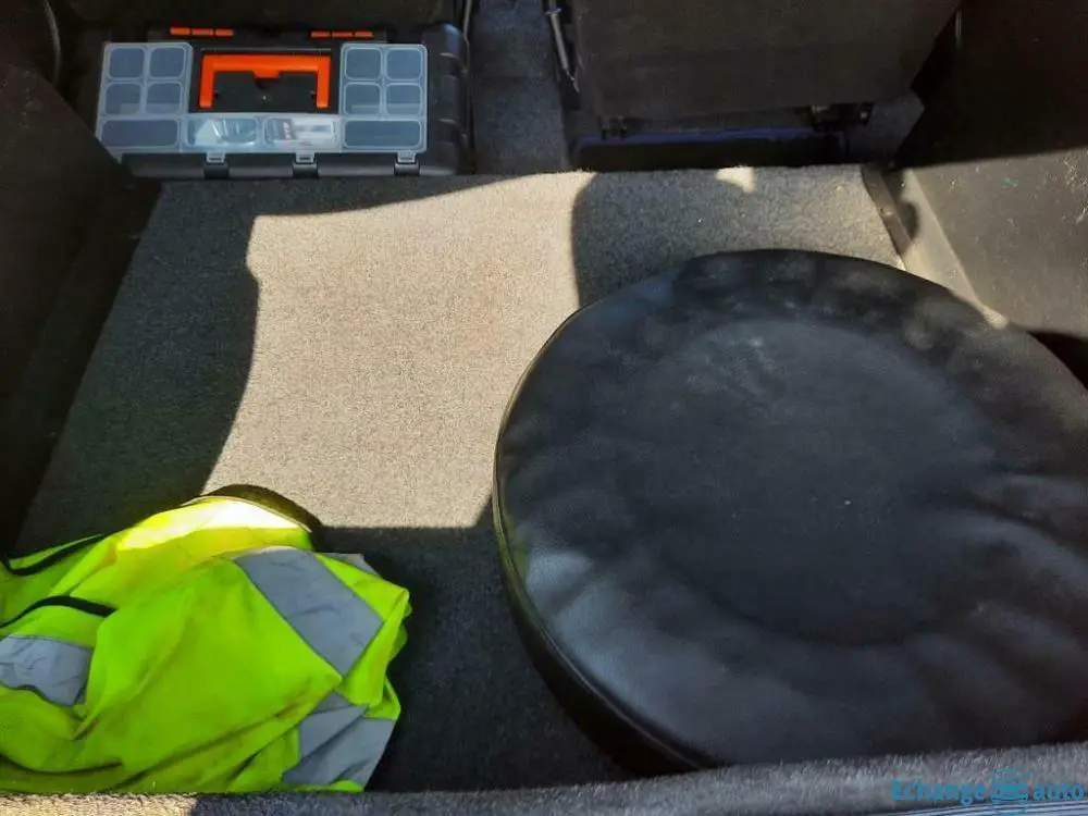 Chatenet barooder voiture sans permis