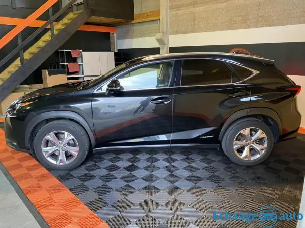 Lexus NX 300h BUSINESS 2.5 VVT-I HYBRID 155CV