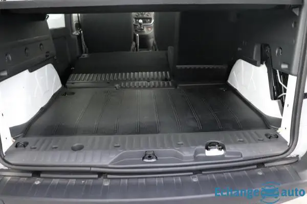 Renault Kangoo Blue dCi 80 Trend