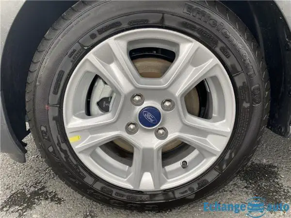 Ford Transit COURIER FOURGON FGN 1.0 E 100 BV6 TREND